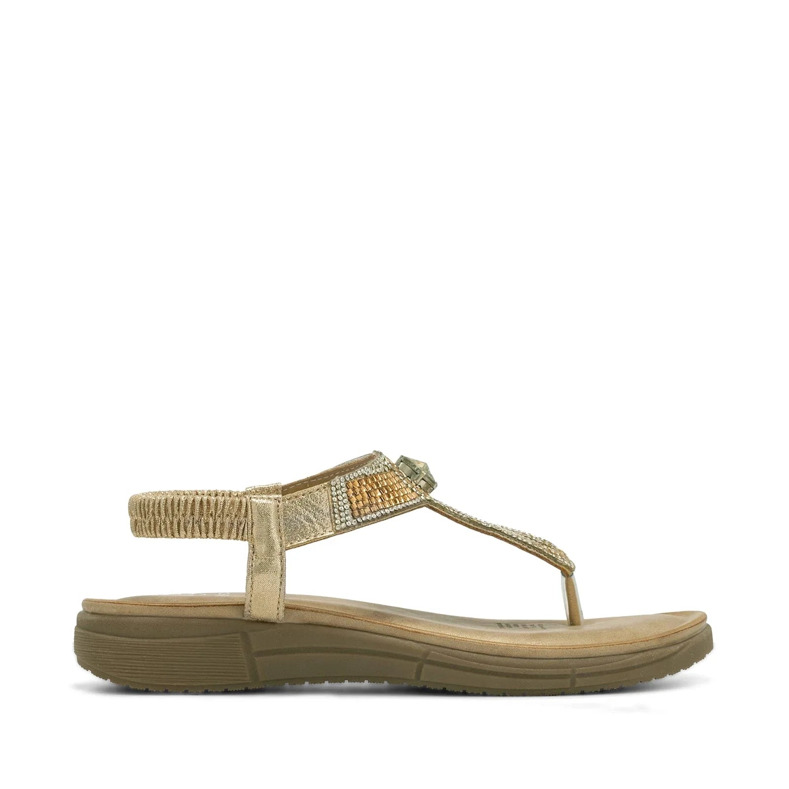 JS85 JS85-DORADO-1