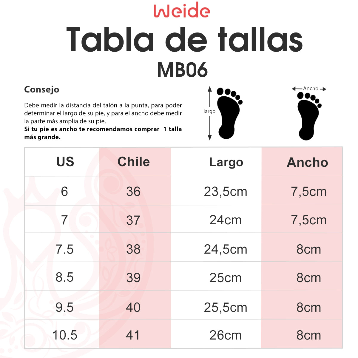 Zapatilla Daira Negro Weide